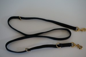 Training leash