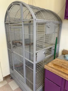 Large cage for Parrot Macaw Boarding in Tucson Arizona